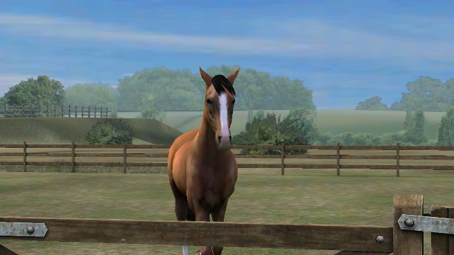 My Horse Game Android Free Download