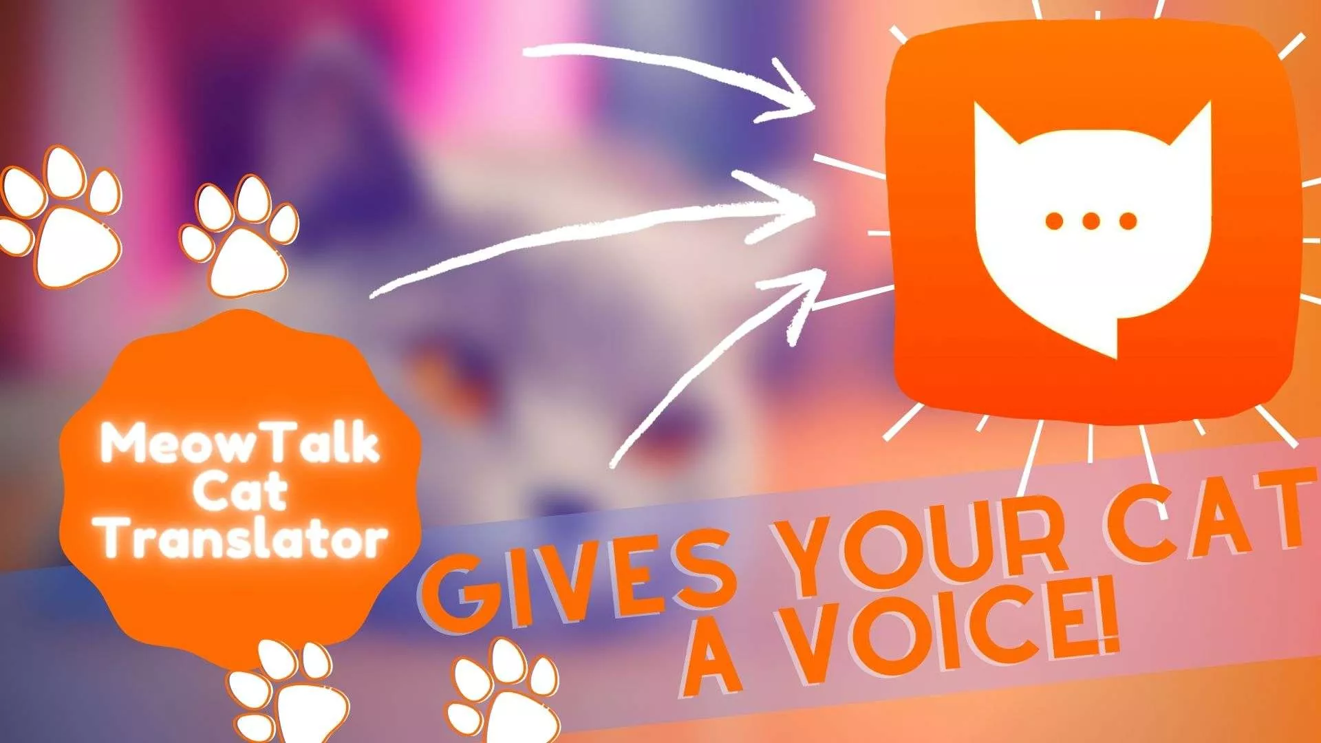 MEOWTALK بيتا ANDROID